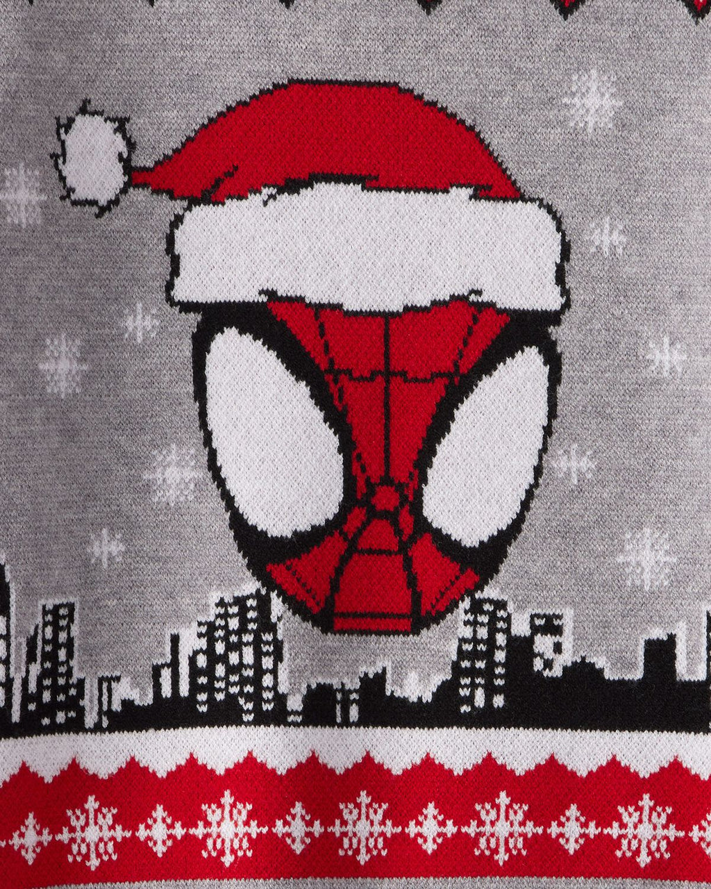 Toddler Boy ©Marvel Spider-Man Long-Sleeve Sweater/Gris