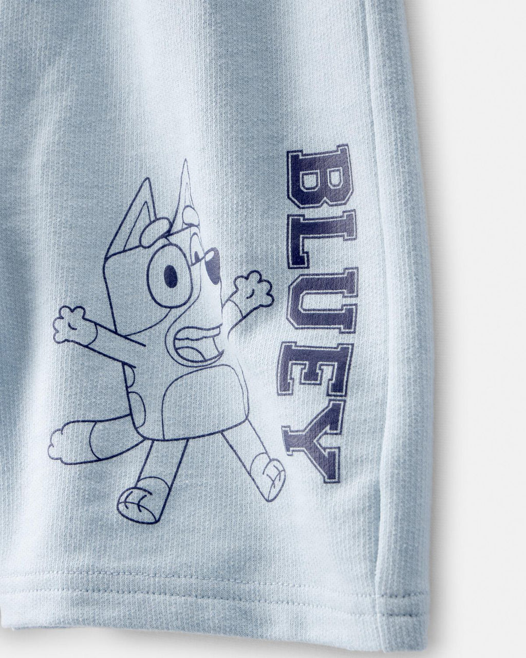 Toddler Boy 2-Piece Bluey Outfit Set