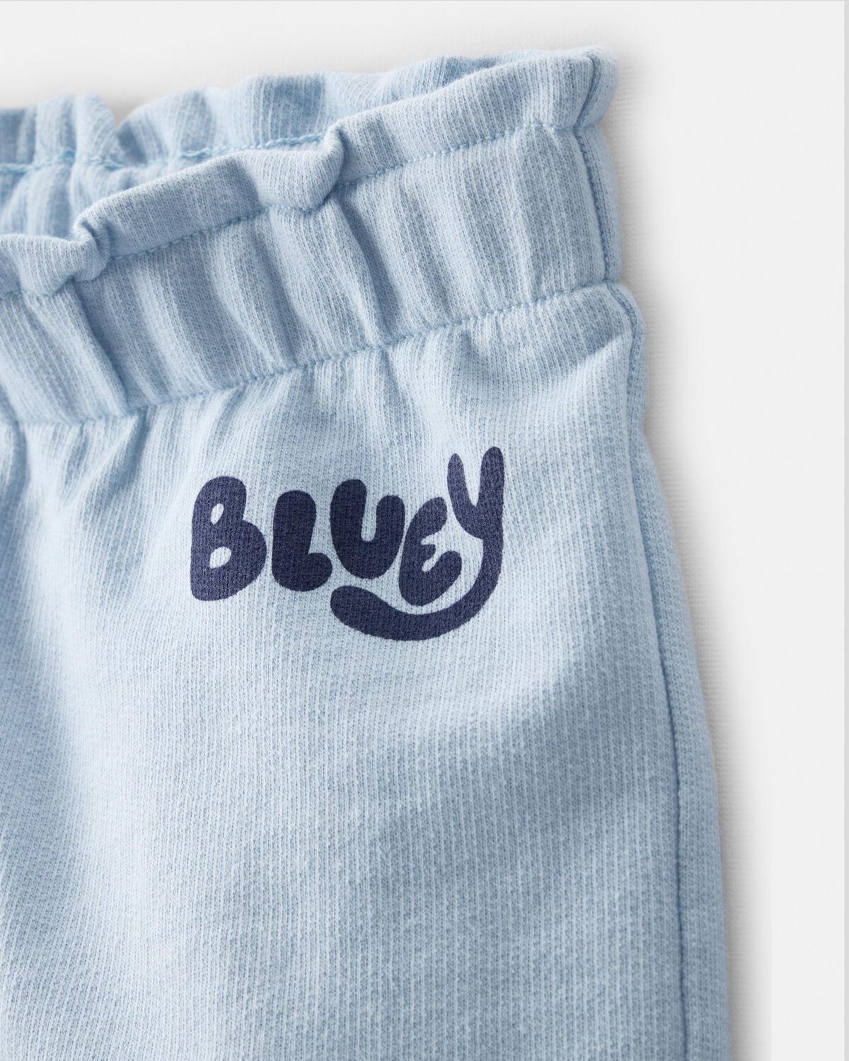 Toddler Girl 2-Piece Bluey Outfit Set